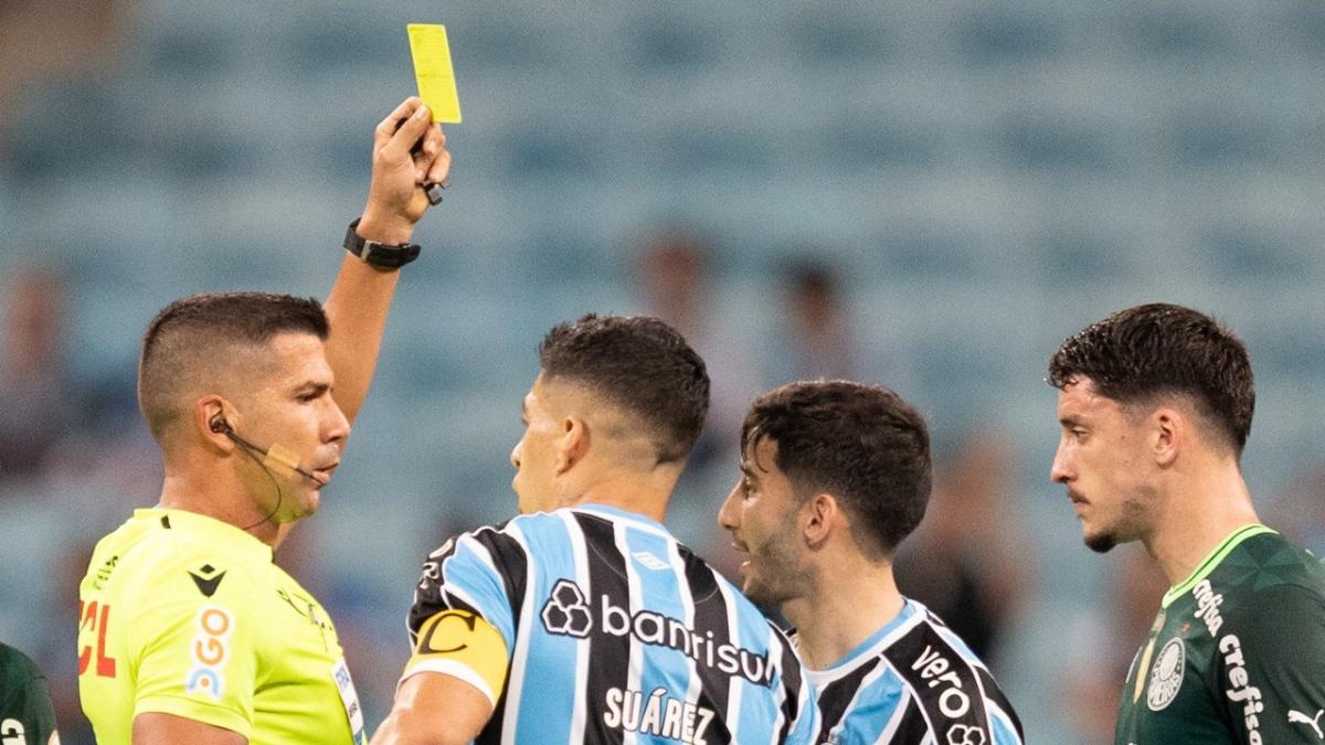 Brazilian referee Bruno Arleu de Araujo